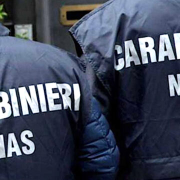 carabinieri nas Campagna vinicola 2023, i Nas riscontrano irregolarità in 2 cantine, chiusa un’azienda