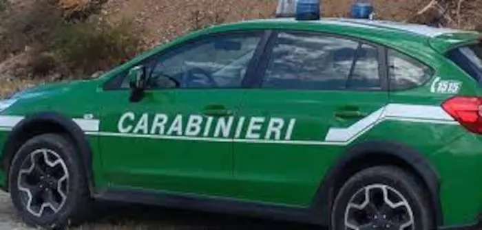 Senza-titolo.jpg Civita Castellana, i carabinieri trovano irregolarità in azienda piastrelle