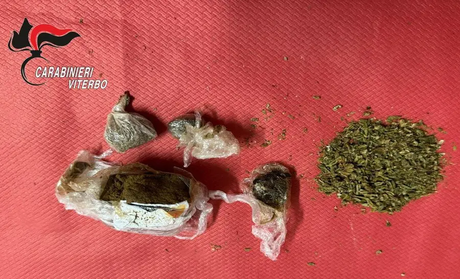 droga-sottotetto.jpg Soriano nel Cimino, nascondeva la droga nel sottotetto di casa, arrestato 44enne