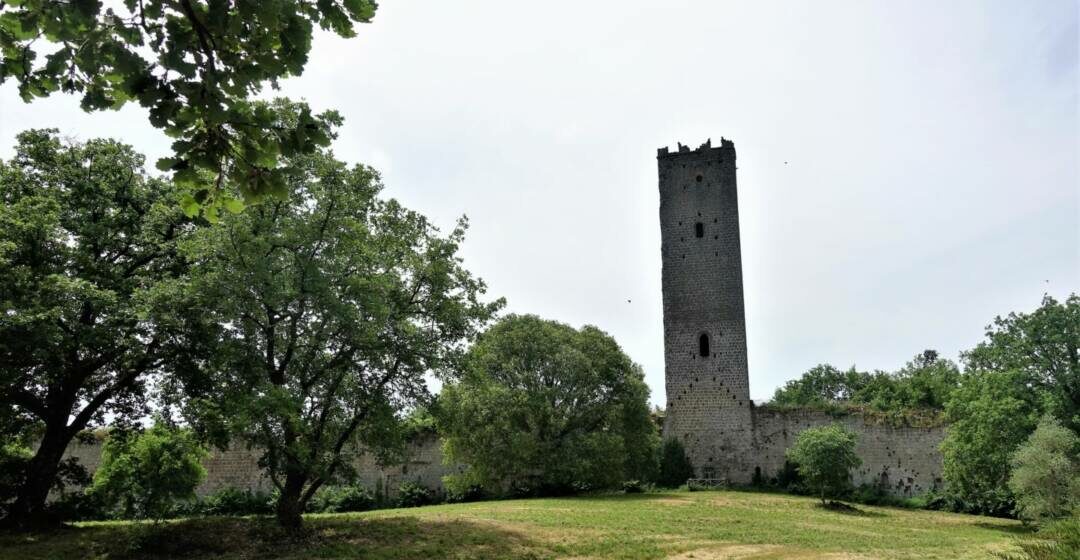 torredichia Associazione Torre di Chia, le iniziative per la Tuscia